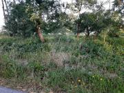 Terreno à venda em Pombal