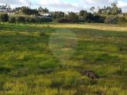 Terreno à venda em Pombal