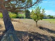 Terreno à venda em Pombal