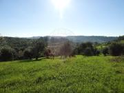 Terreno à venda em Pombal
