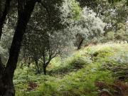 Terreno à venda em Ponte de Lima