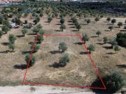 Terreno à venda em Ponte de Sor