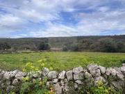 Terreno à venda em Porto de Mós