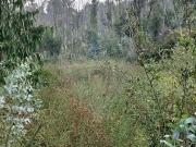 Terreno à venda em Póvoa de Lanhoso