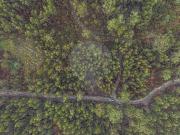 Terreno à venda em Póvoa de Lanhoso