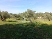 Terreno à venda em Póvoa de Rio de Moinhos e Cafede