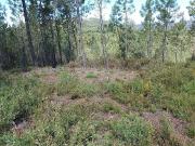 Terreno à venda em Proença a Nova
