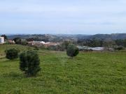 Terreno à venda em Alcobaça