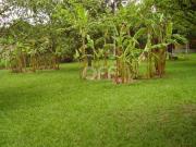 terreno à venda em Recanto dos Dourados