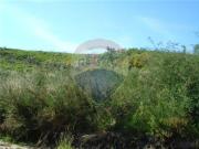 Terreno à venda em Vila Verde