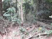 Terreno à venda em Roseira SP