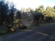 Terreno à venda em Roussa