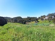Terreno à Venda em São Brás de Alportel Oportunidade Única!