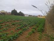Terreno à venda em Casal das Barrocas