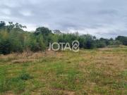 Terreno à venda em Santa Felicidade