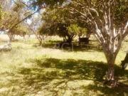 Terreno à venda em Santa Helena