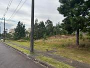 Terreno à venda em Santa Isabel