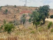 Terreno à venda em Santana da Serra