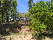 Terreno à venda em Ansião