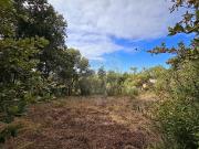 Terreno à venda em Ansião