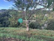 Terreno à venda em Santo Antônio do Pinhal Terreno à venda em Santo Antônio do Pinhal