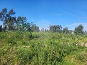 Terreno à venda em Santo Tirso