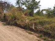 Terreno à venda em Saraiva