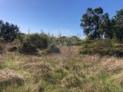 Terreno à venda em Seia