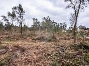 Terreno à venda em Barcelos Terreno à venda em Barcelos