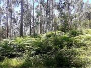 Terreno à venda em Barcelos