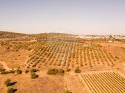 Terreno à venda em Serpa