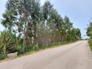 Terreno à venda em Serra da Pescaria