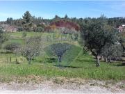 Terreno à venda em Sertã