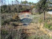 Terreno à venda em Sertã