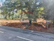 Terreno à venda em Sertã