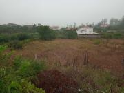 Terreno à venda em Sertã