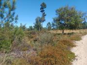 Terreno à venda em Sesimbra