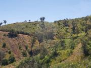 Terreno à venda em Silves