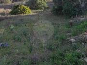 Terreno à venda em Silves
