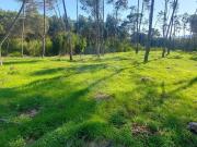Terreno à venda em Sintra