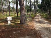 Terreno à venda em Sintra
