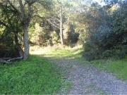 Terreno à venda em Linhó