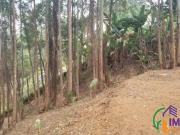 Imoveis em Tamboré
