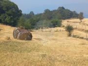 Terreno à venda em Terras de Bouro