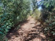 Terreno à venda em Castelo Branco