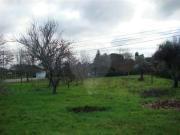 Terreno à venda em Tondela