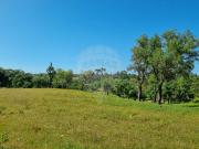 Terreno à venda em Troviscais