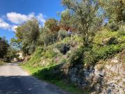 Terreno à venda em Vila Verde