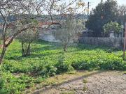Terreno à venda em Varge Mondar