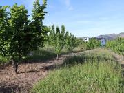 Terreno à venda em Lamego